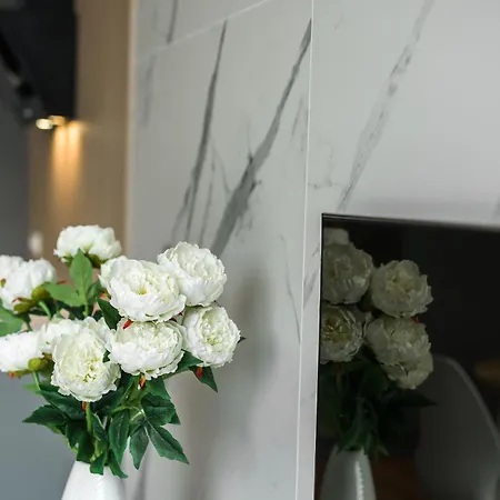 Sunny Garden Warta View