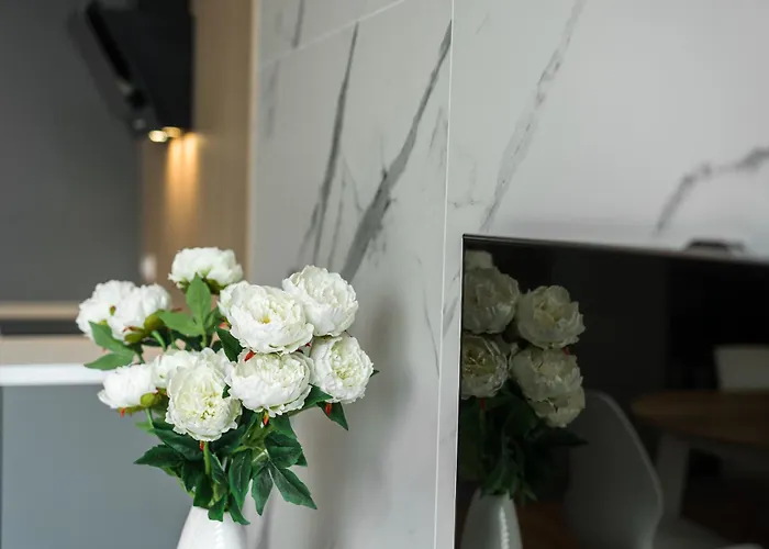 Sunny Garden Warta View