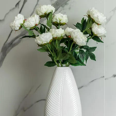 Sunny Garden Warta View